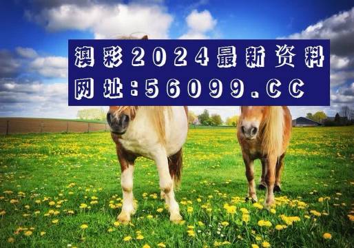 新澳精准资料免费提供网站有哪些新澳精准资料免费提供网站大全-第3张图片