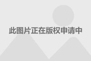上海11选五5开奖结果揭晓-第2张图片