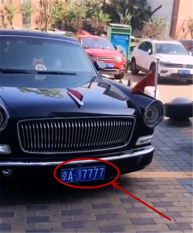 7777aa探索7777aa的神秘世界-第2张图片