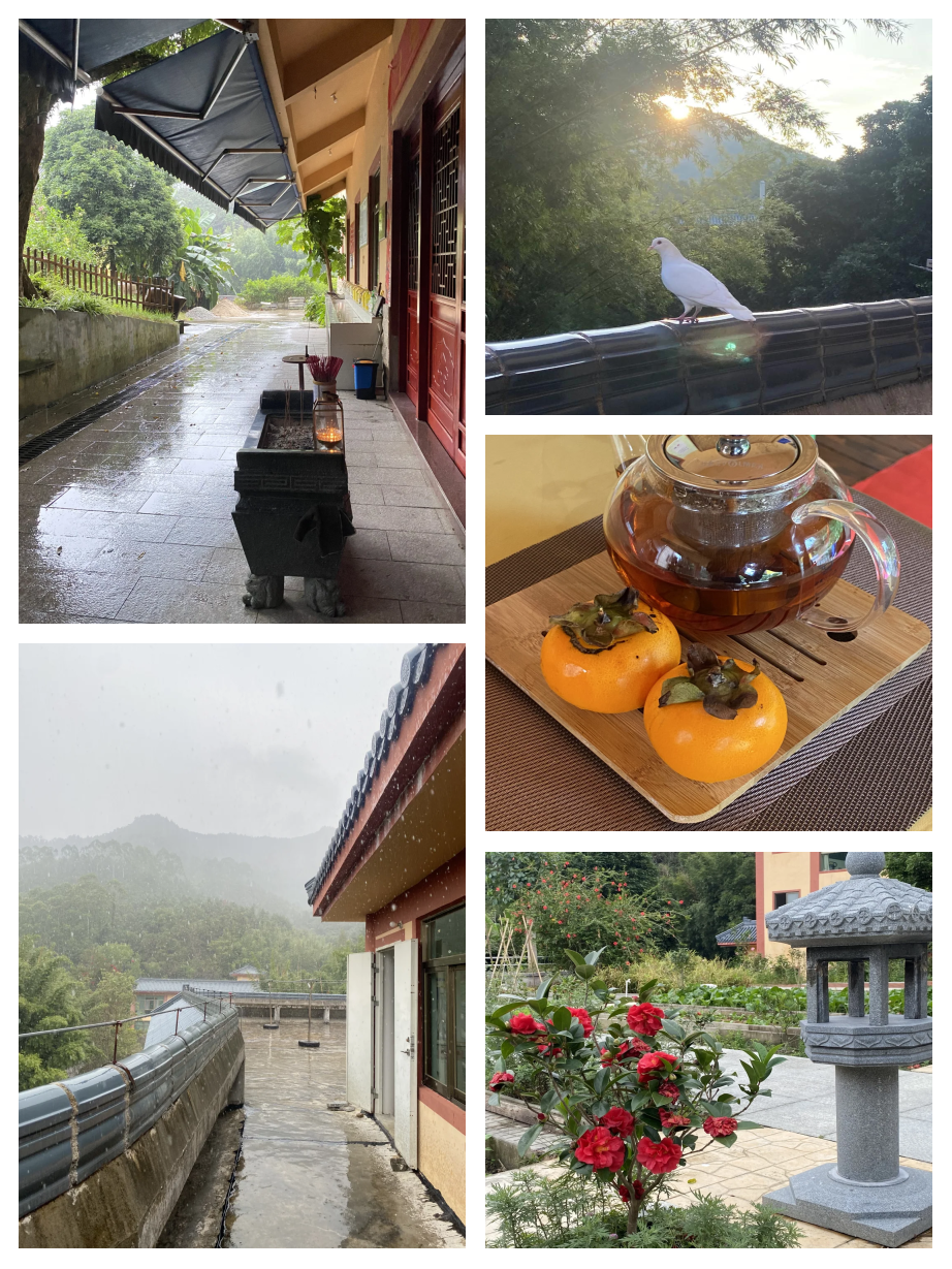 鬼道子博客，探寻神秘世界与心灵之旅-第1张图片