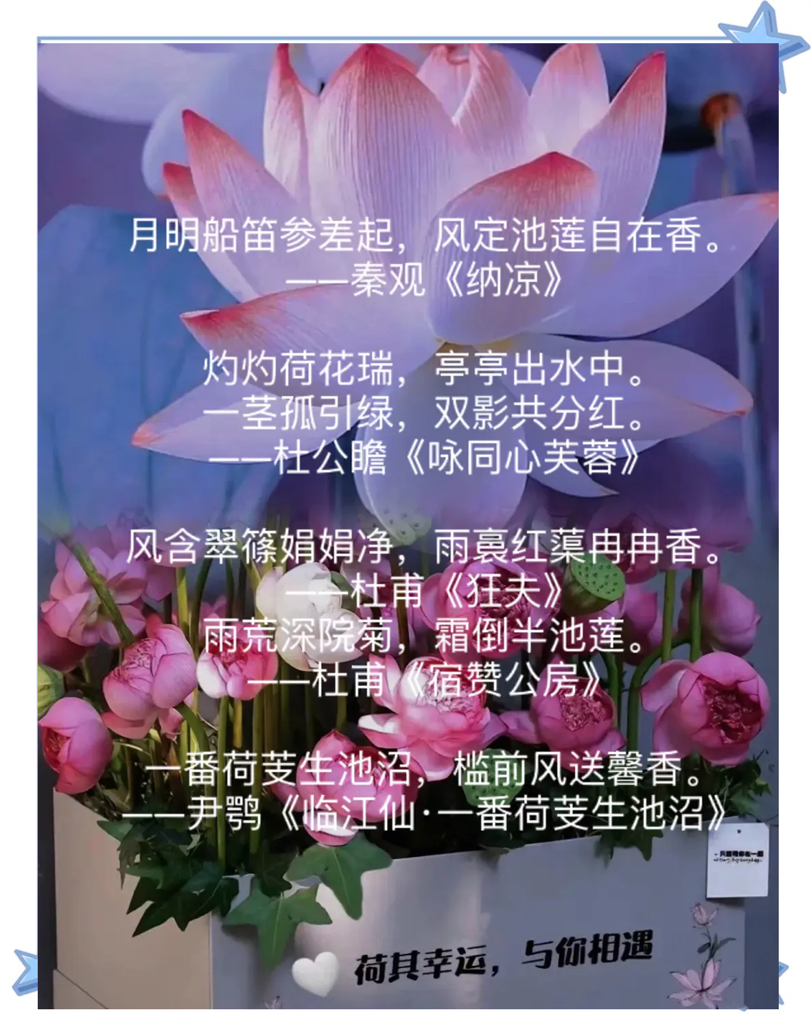 女人半夜莲花开大概时候几点女人半夜莲花开的时间大概几点？-第1张图片