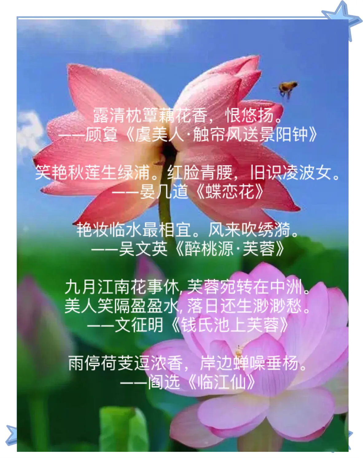 女人半夜莲花开大概时候几点女人半夜莲花开的时间大概几点？-第2张图片