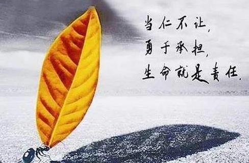 师门任务每天有多少个师门任务，责任与担当-第2张图片