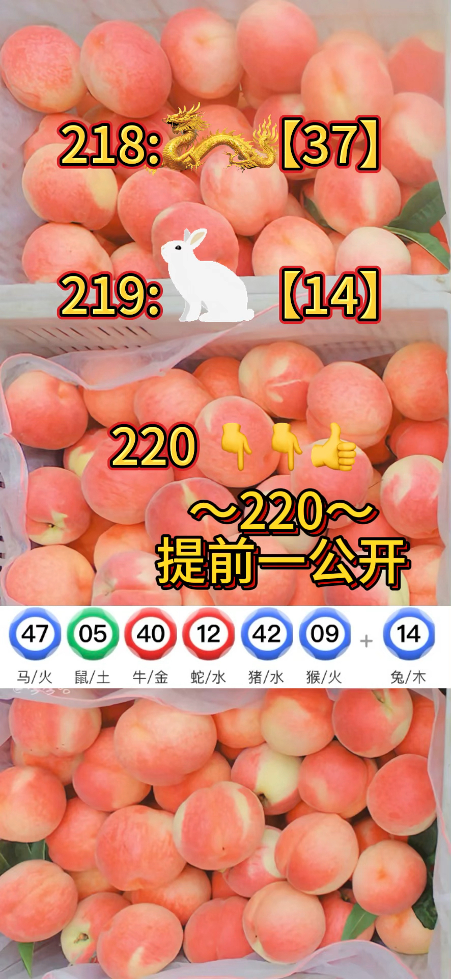 2020澳门精准资料大全2020澳门精准资料大全-第2张图片