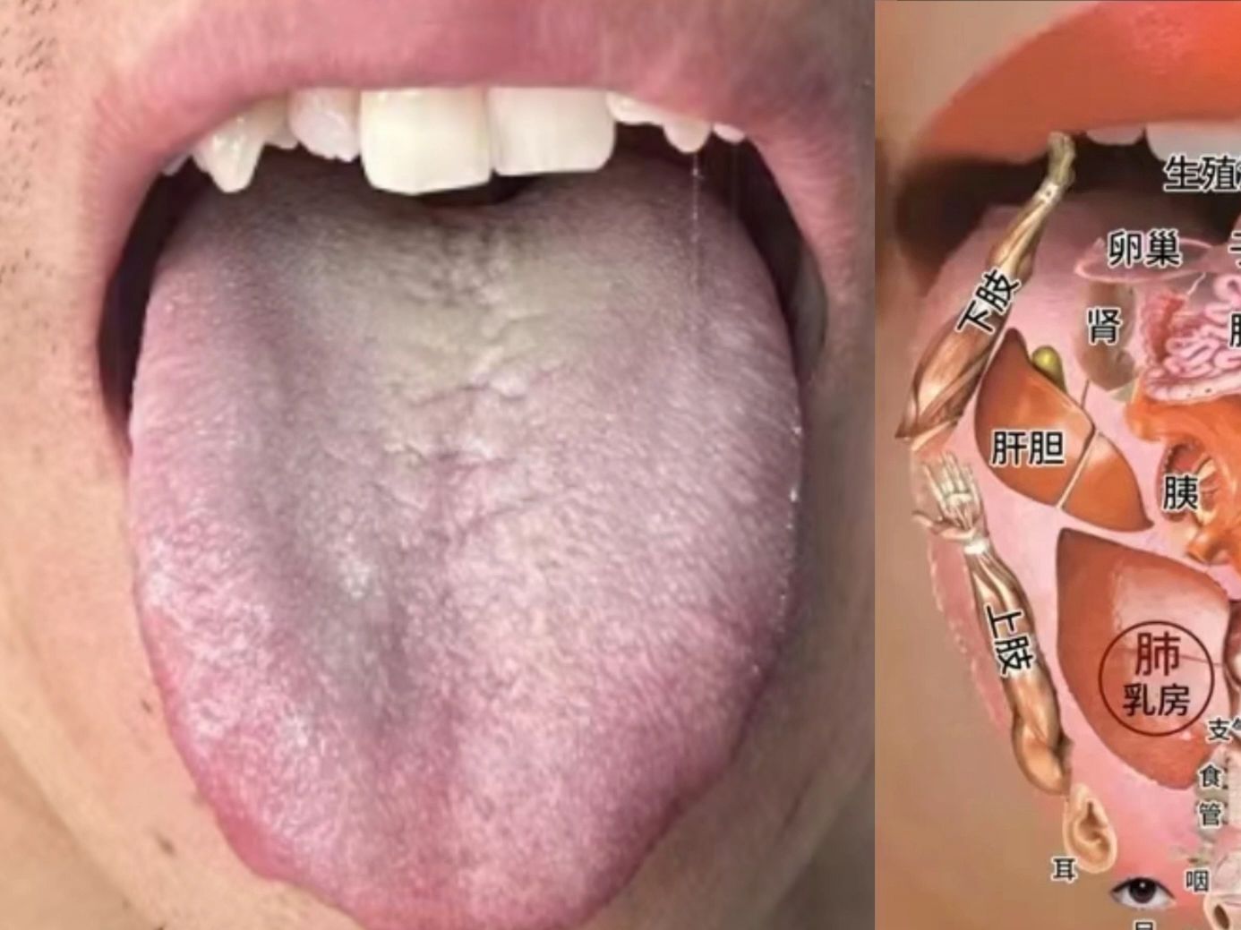 舌头伸入麻麻两腿之间做爱口述舌头伸入麻麻两腿之间-第1张图片