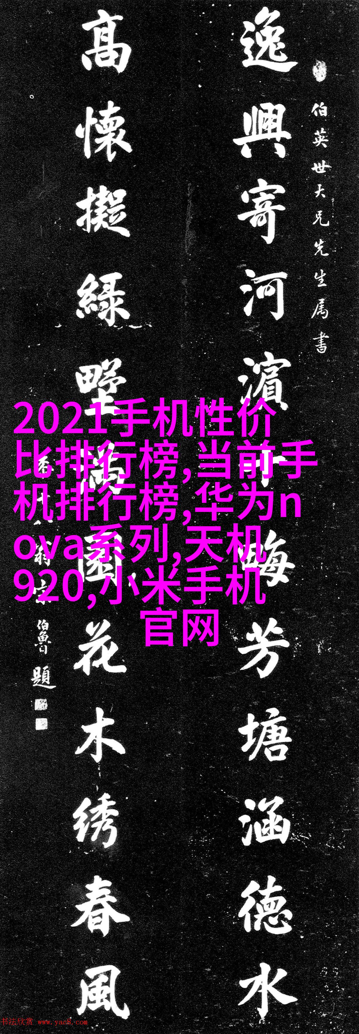 55858.com，探索数字时代的无限可能-第2张图片