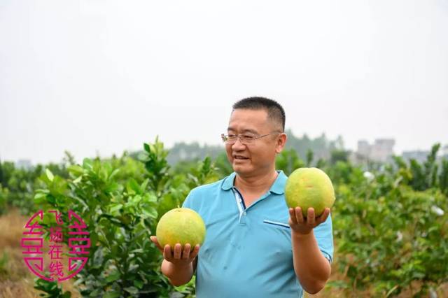 蜜柚在线观看高清资源视频蜜柚在线观看高清资源视频-第2张图片