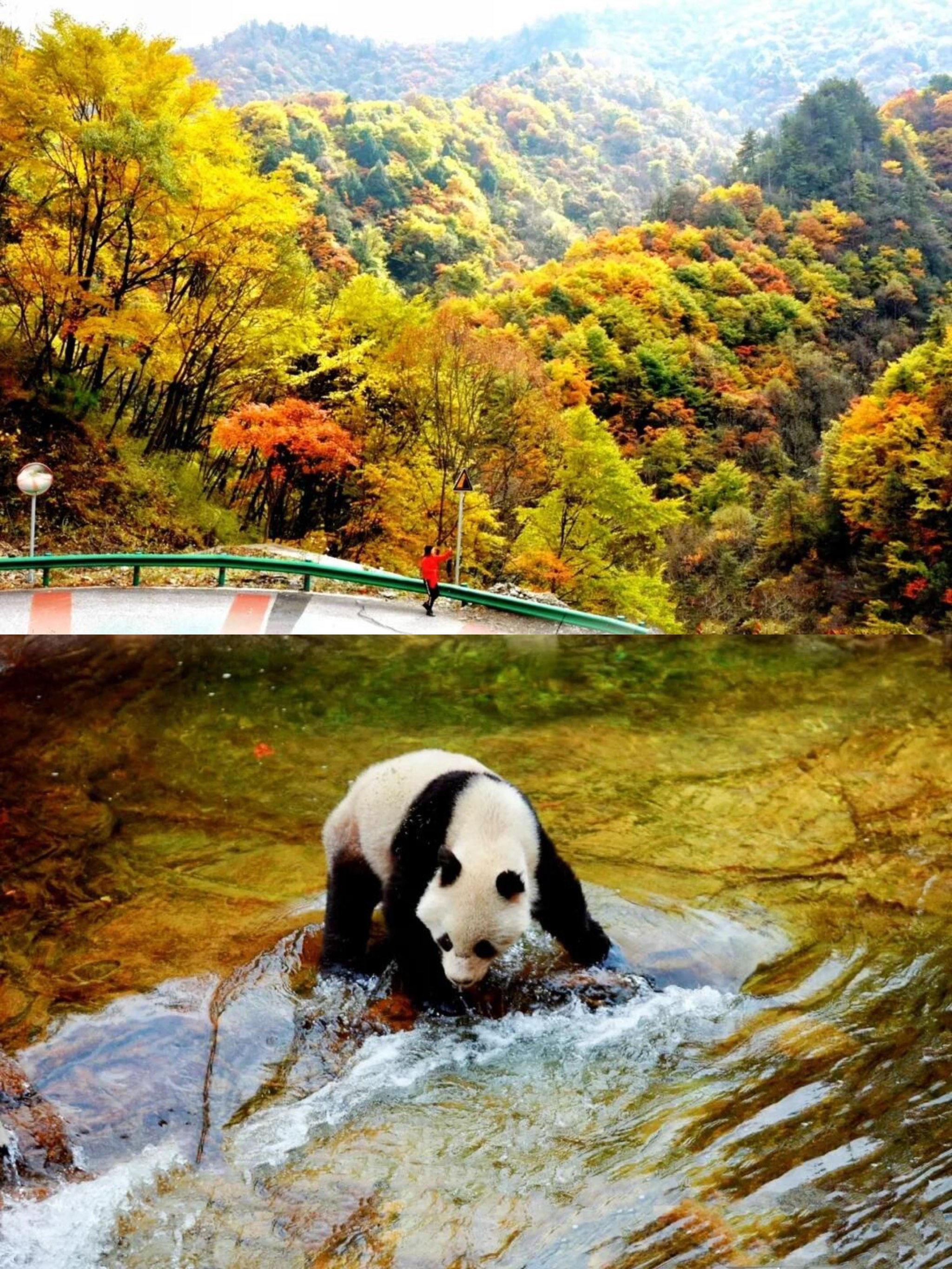 黄桑坪之旅