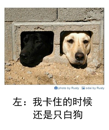 搞笑车祸视频搞笑车祸视频-第2张图片