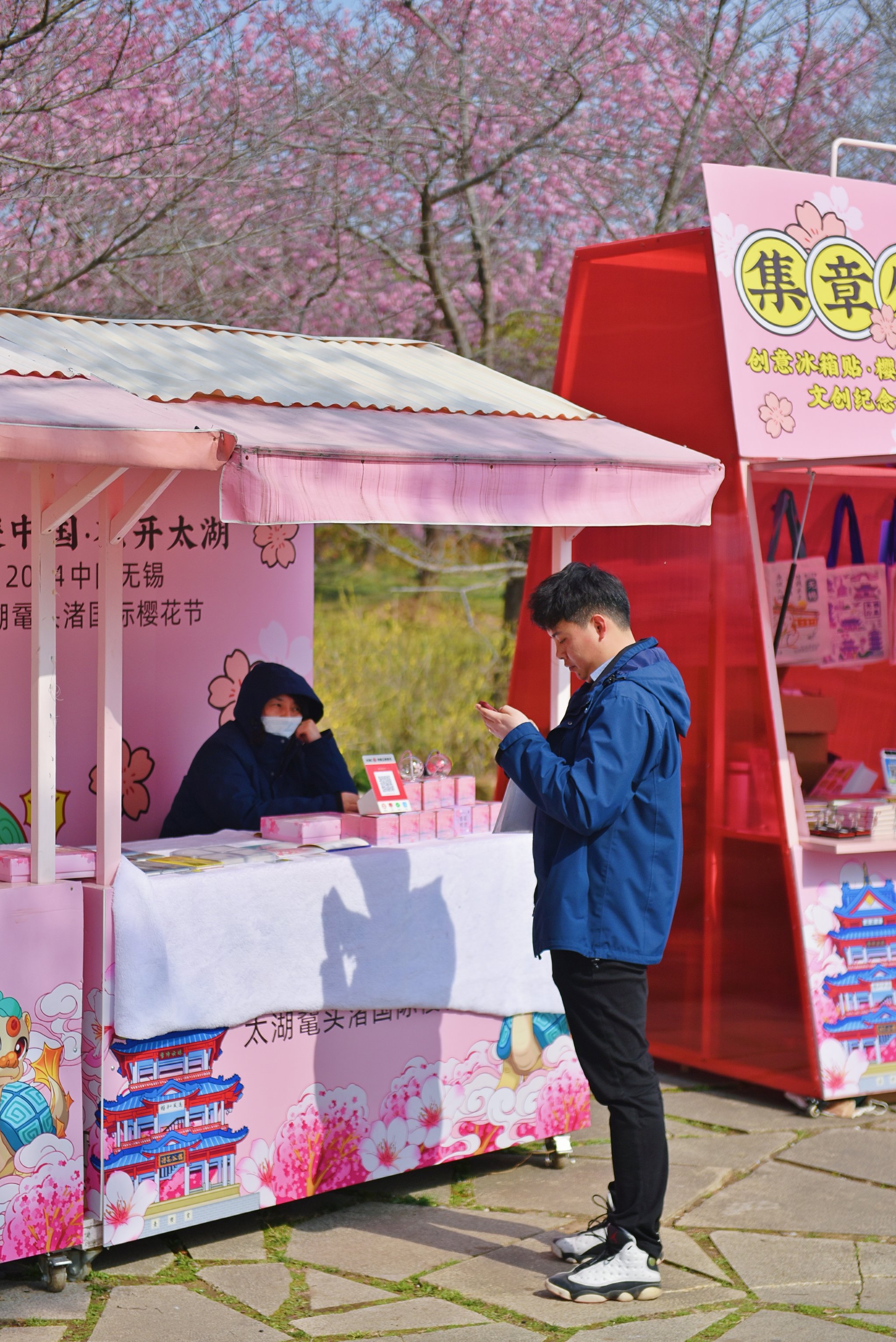 我们换个地方做樱花是什么歌小说樱花之约，换个地方做歌-第1张图片