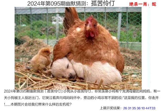 正版澳门管家婆资料大全-第1张图片