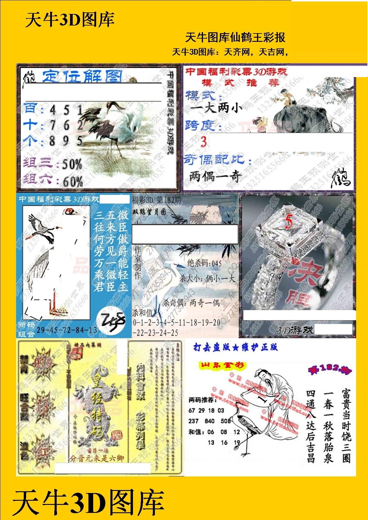 天牛红五图库图天牛红五图库大全-第1张图片