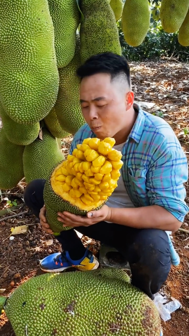 2020年菠萝蜜视频免费下载菠萝蜜视频免费观看与下载指南-第2张图片