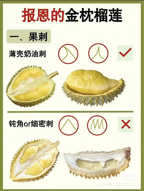 榴莲视频APP进入窗口下载榴莲视频APP进入窗口下载体验-第2张图片