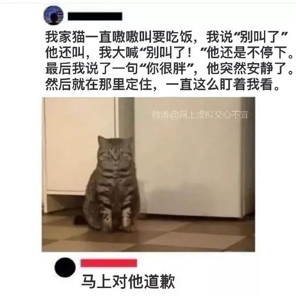 开车越往下越疼的那种文章开车越往下越疼的文章-第1张图片