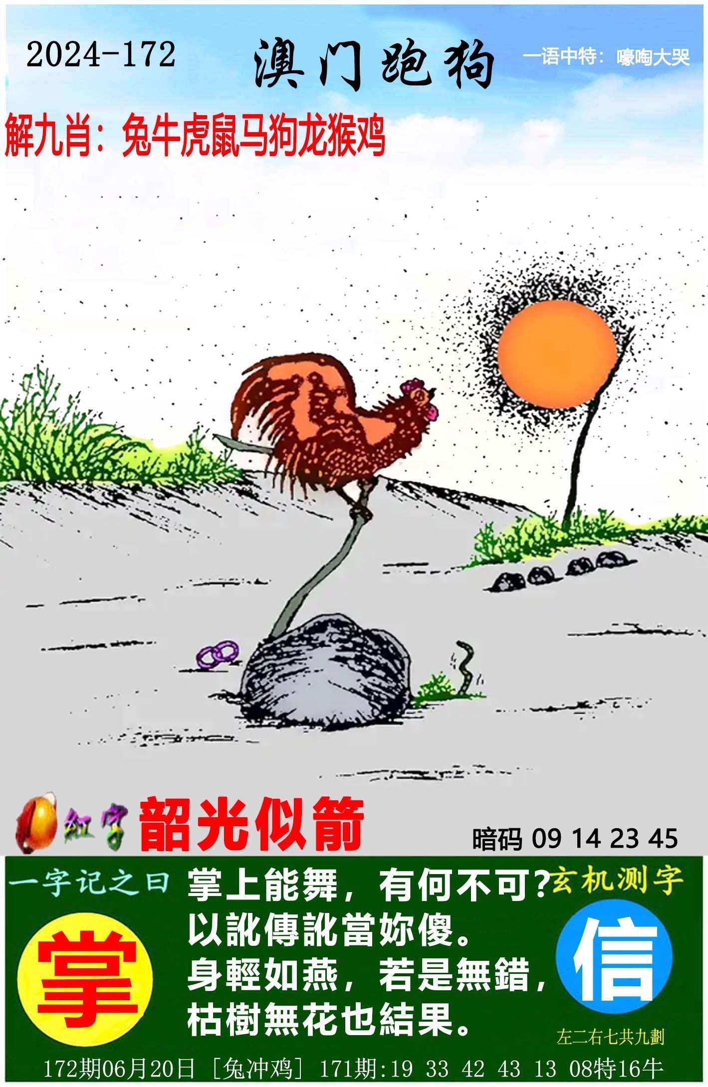 2024年新奥门管家婆资料概述-第2张图片