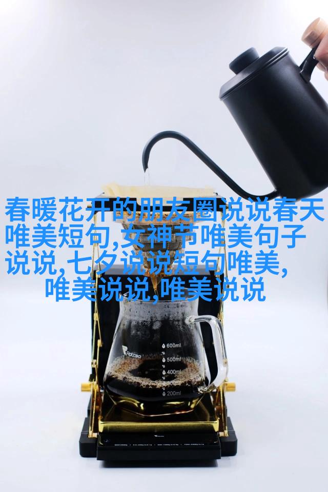 家庭大杂烩，经典说说大全儿的故事与感悟-第3张图片