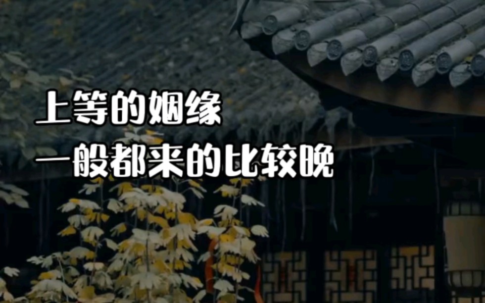 白天躁晚上躁天天躁COM乡白天躁晚上躁，COM乡心声-第2张图片