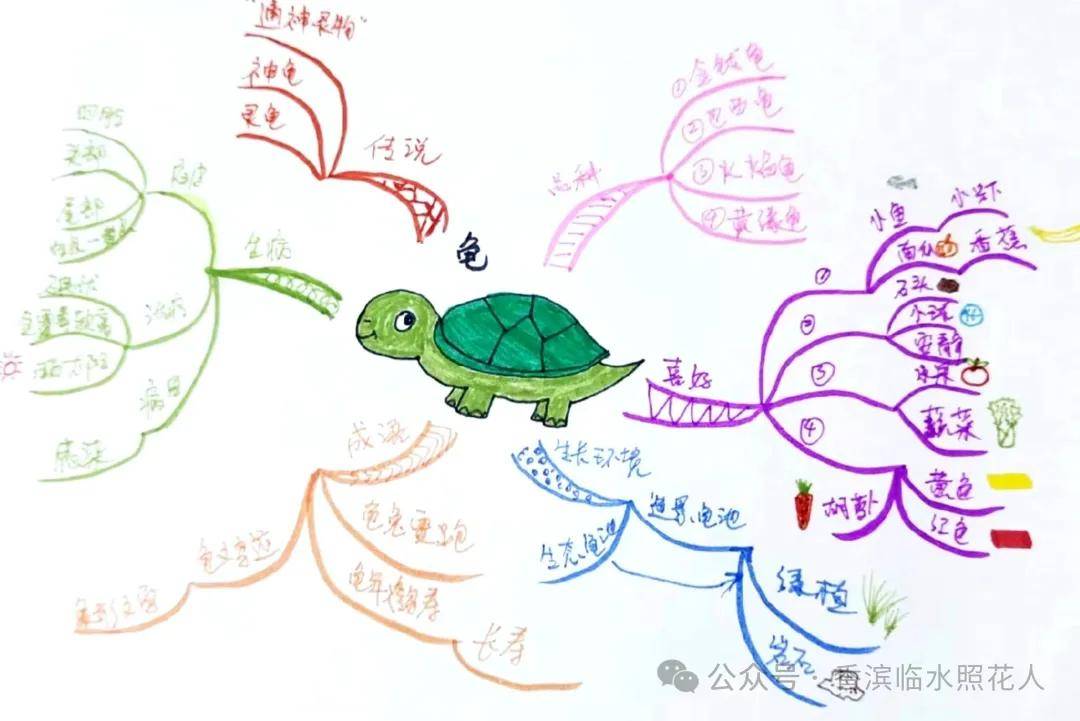 英语老师的小兔子又大又软-第3张图片