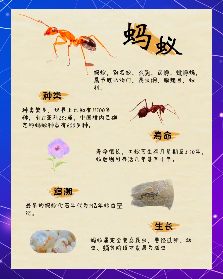 6月28日蚂蚁庄园答案六月二十八日蚂蚁庄园答案揭晓-第1张图片