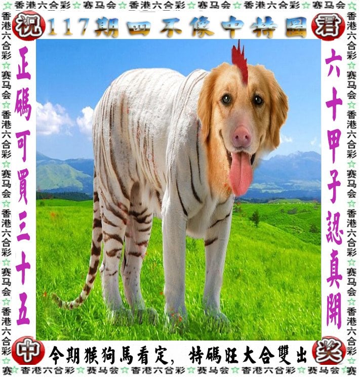 今晚开奖结果揭晓，4887-第2张图片