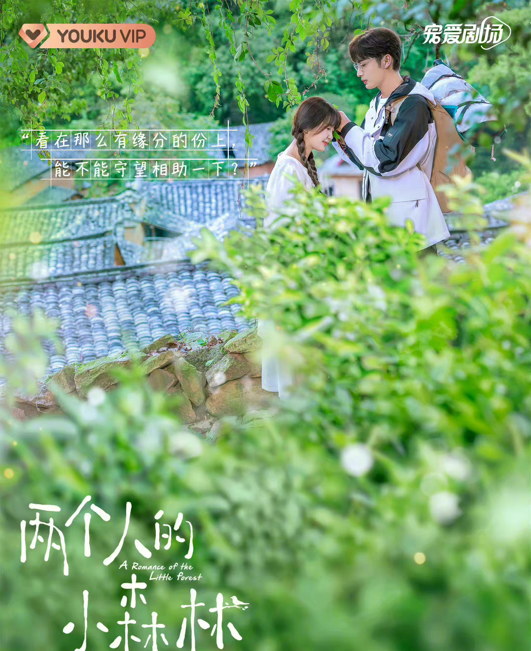 两个人的小森林什么时候上线两个人的小森林更新时间揭秘-第3张图片