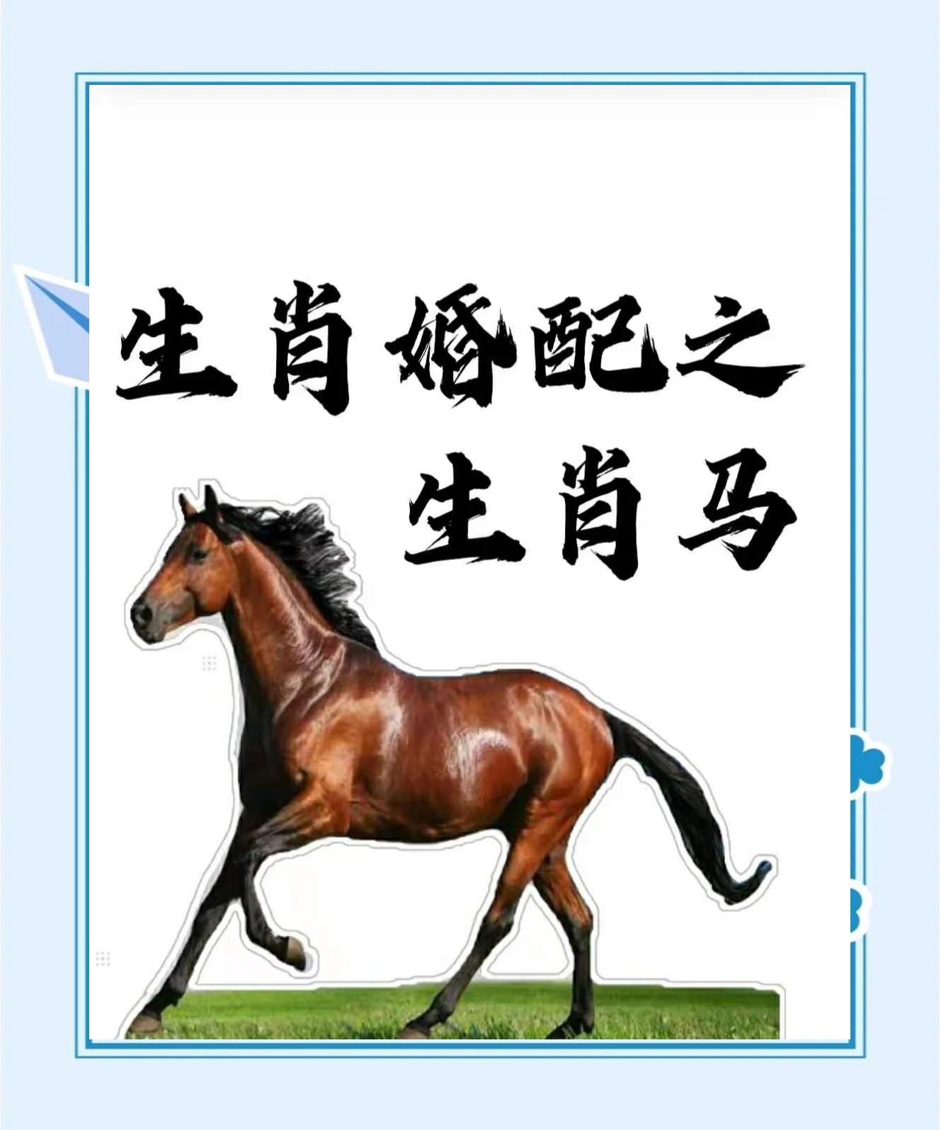 正版马会精选资料大全正版马会精选资料大全-第2张图片