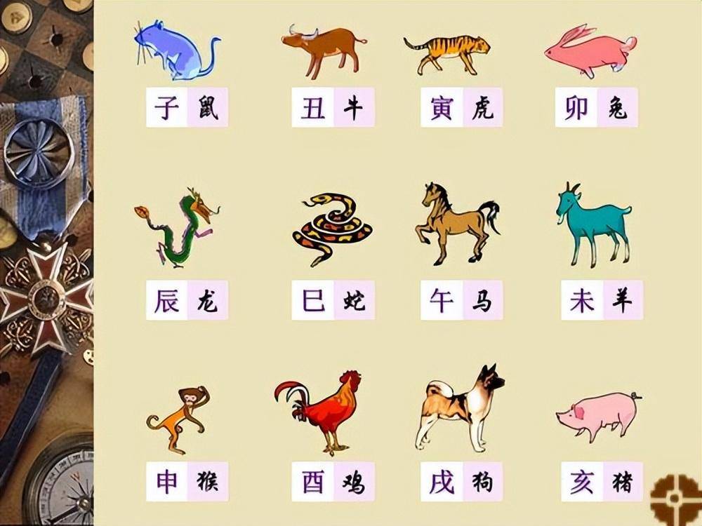 2024六会彩生肖卡对照表2024六会彩生肖卡对照表详解