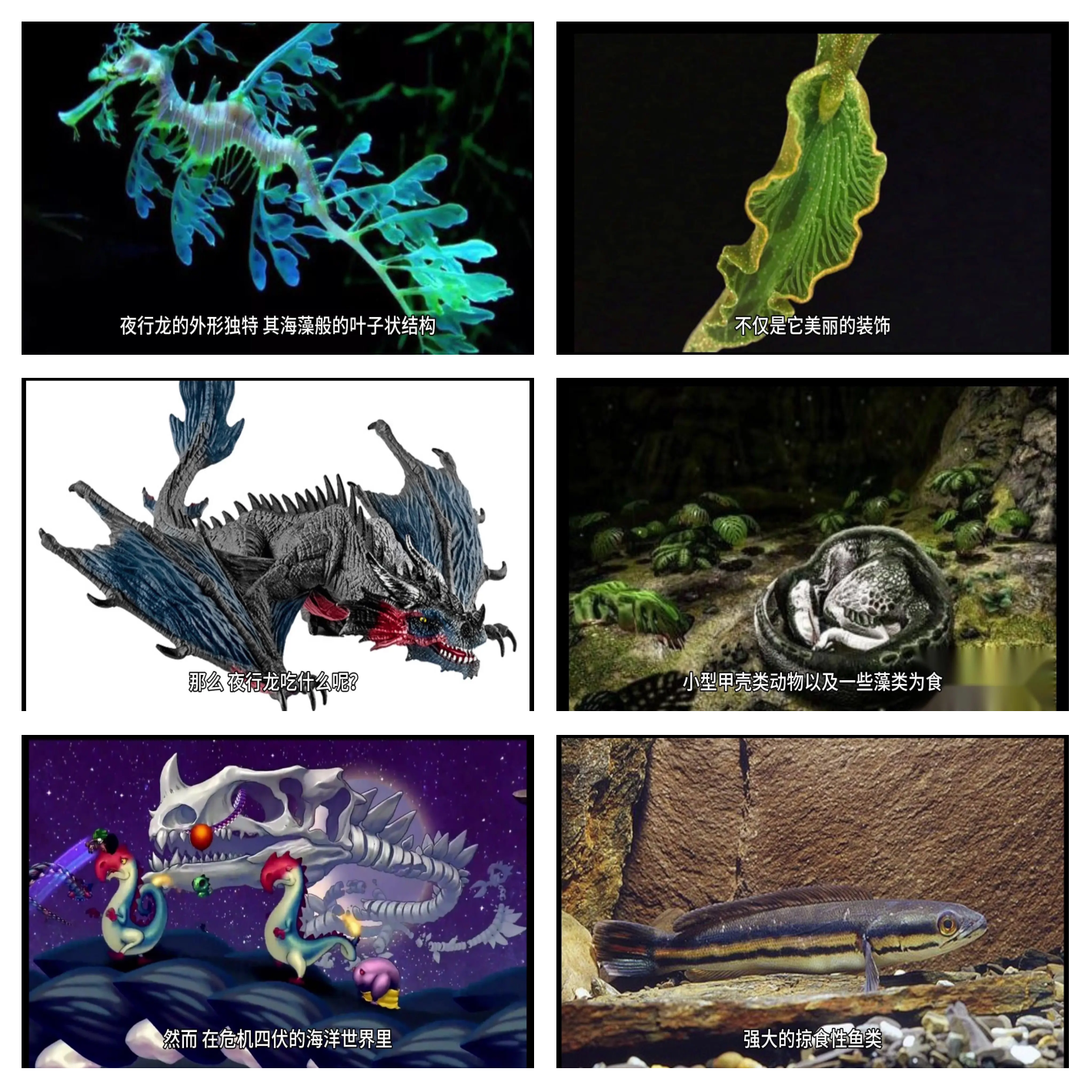 灭尽龙的痕迹灭尽龙，传说中的神秘生物-第3张图片