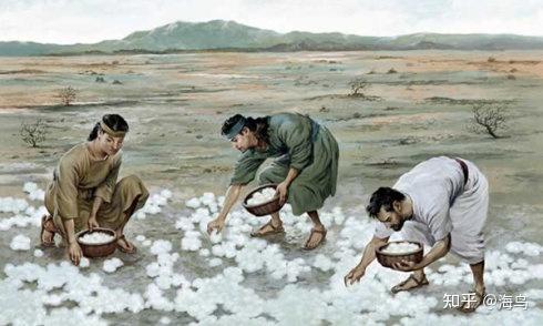 旷野里微妙的光小说旷野微妙之光小说-第2张图片