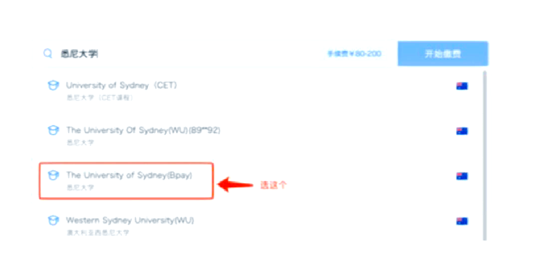 星宇联盟星宇卡盟，便捷支付新选择-第1张图片
