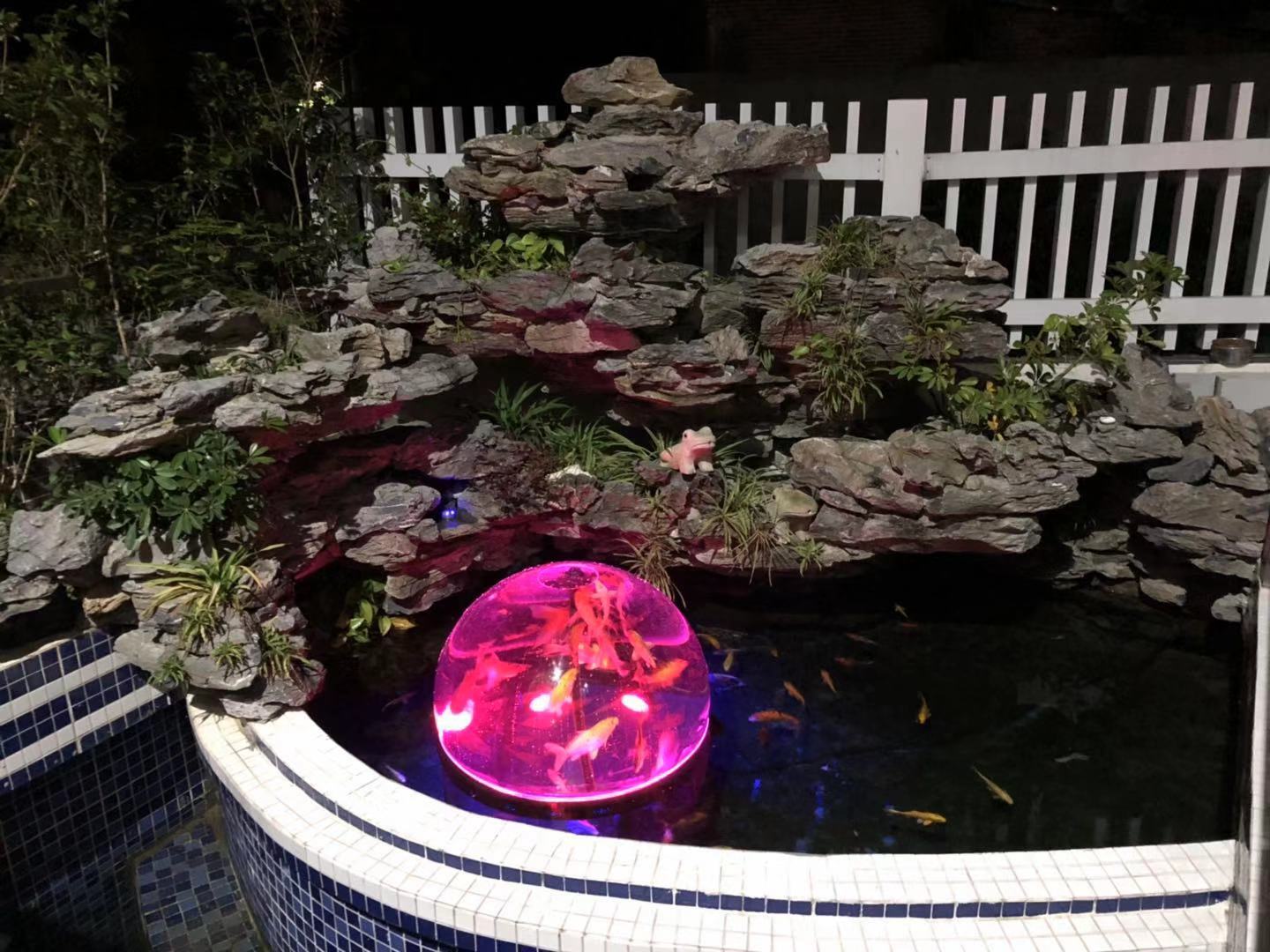 夜明珠预测ymz01风险998811夜明珠预测，ymz01的神秘力量
