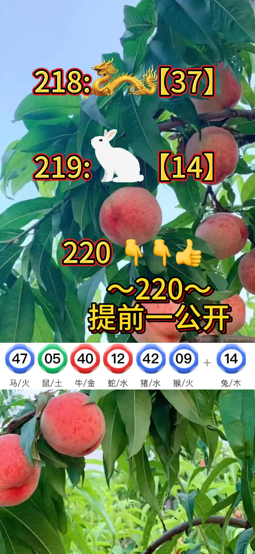 2024新澳门资料大全