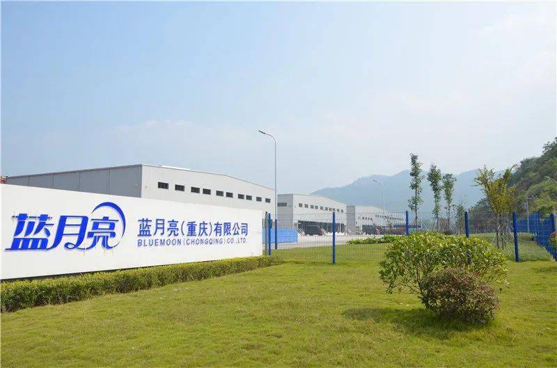 蓝月亮全年资料