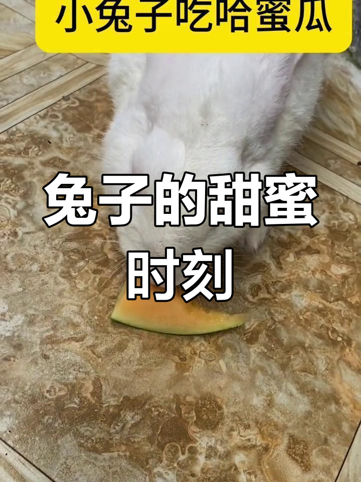 怎么正确的吃女朋友的小兔兔如何正确享用女朋友的小兔兔-第1张图片
