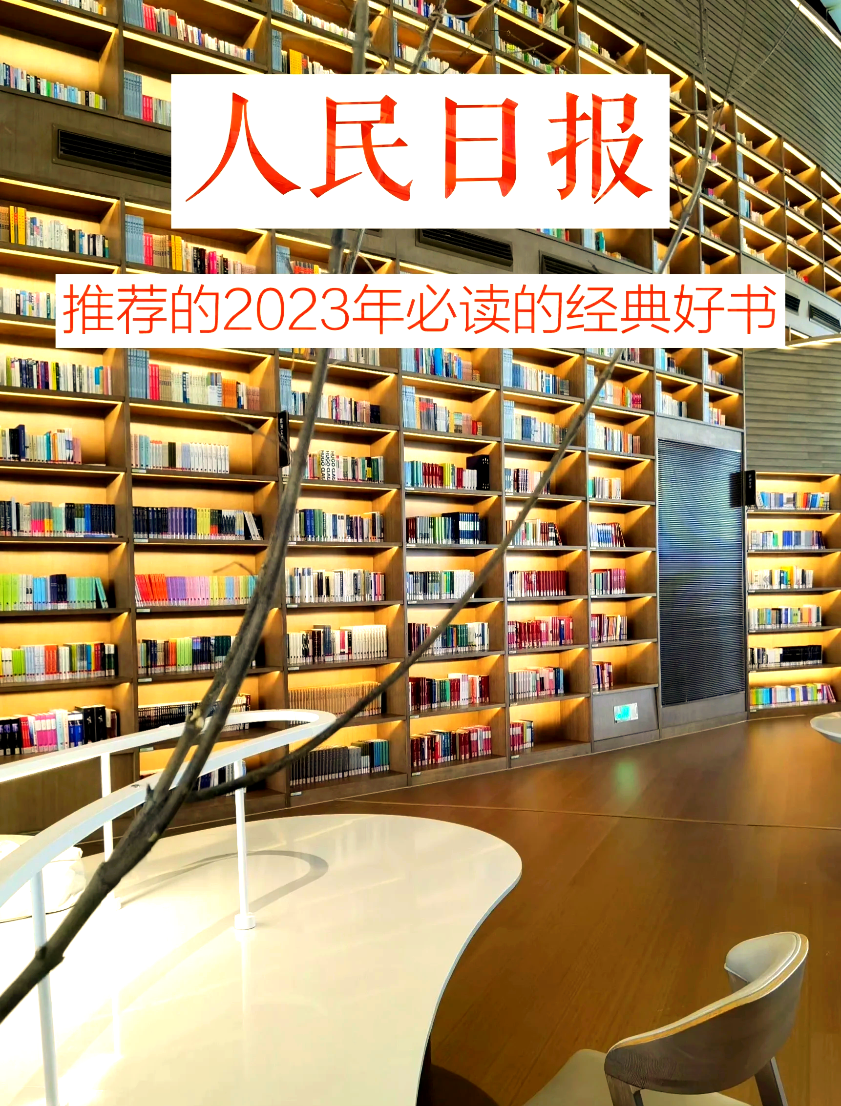 2023一码一肖，预测与成功的秘密-第1张图片
