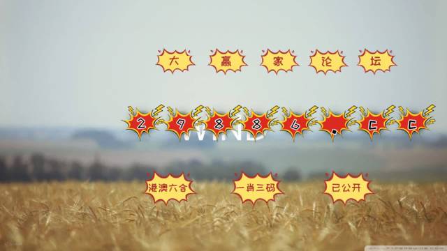 澳门二四六天天资料大全2023澳门二四六天天资料大全2023-第3张图片