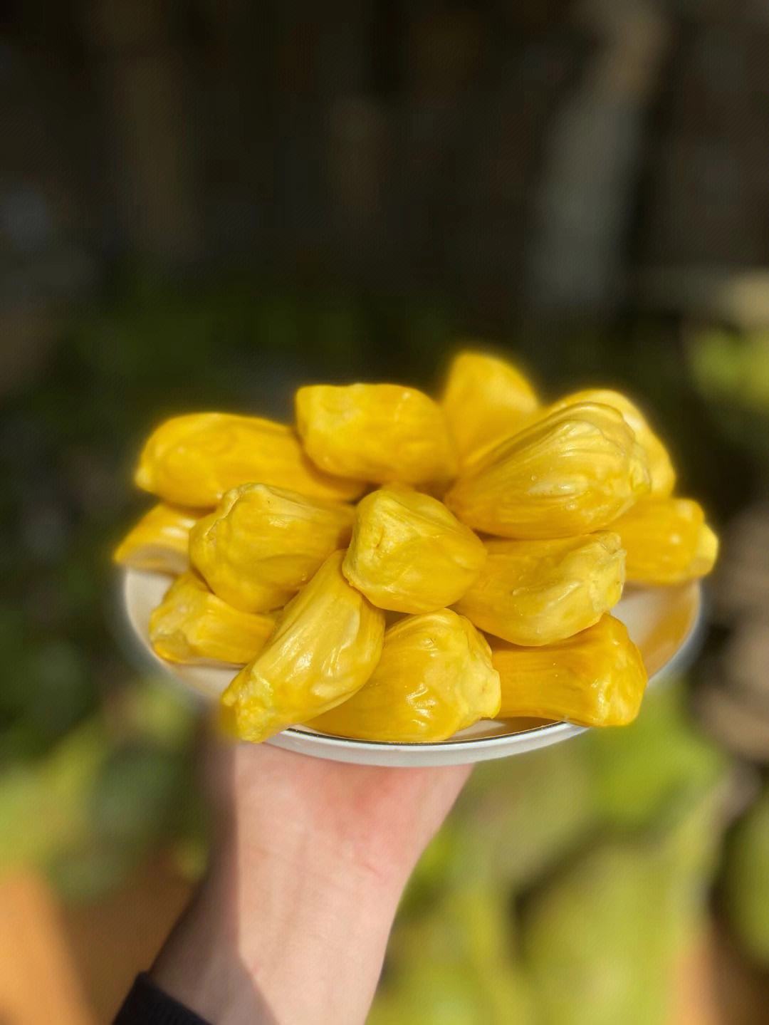 菠萝菠萝蜜视频在线观看高清3-第1张图片