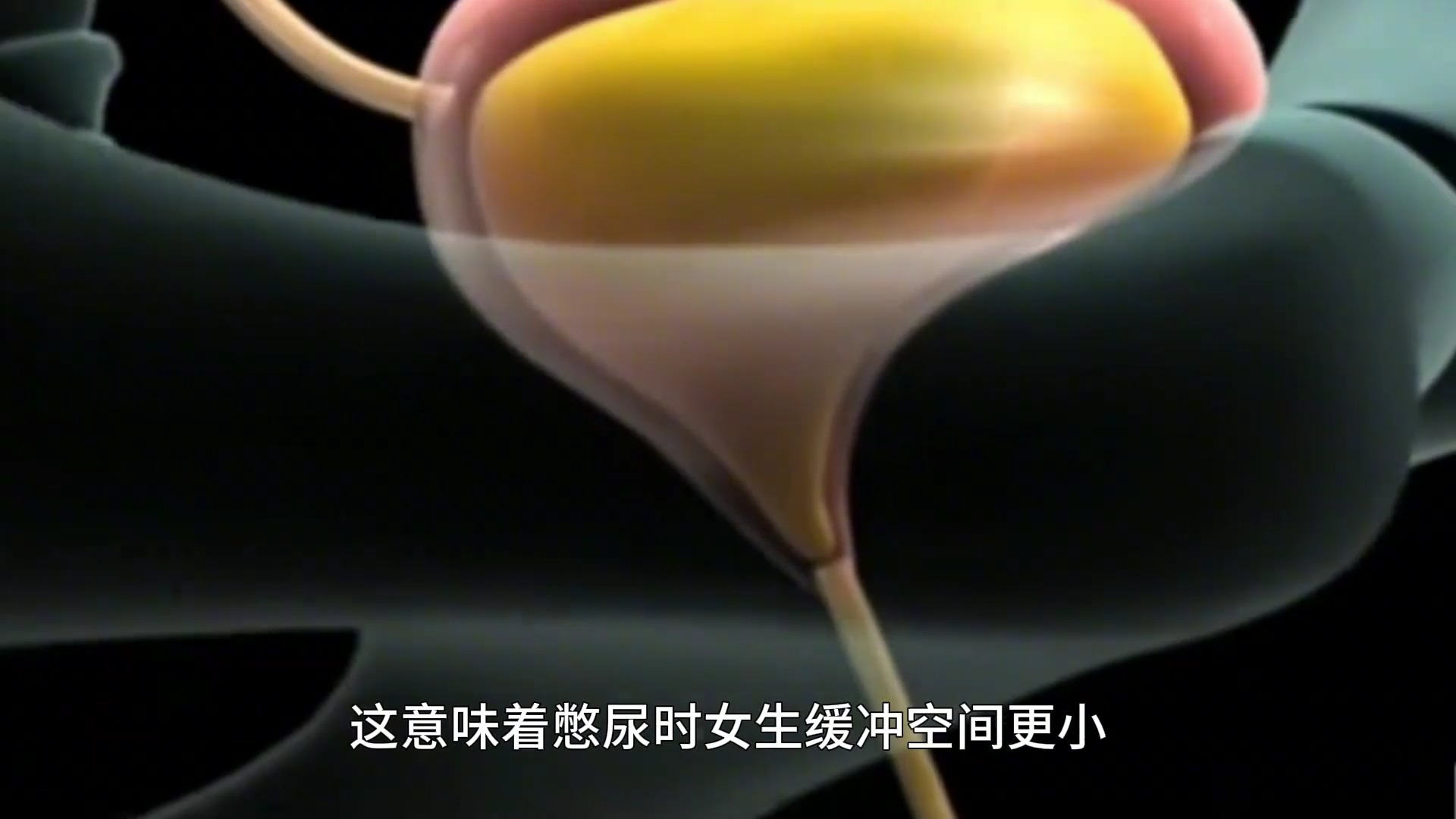 公子被迫夹玉势憋尿BL公子被迫夹玉势憋尿BL故事-第3张图片