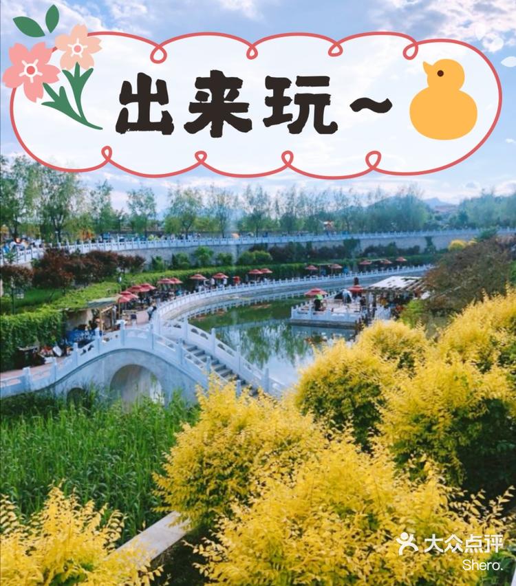 绿野仙踪林视频入口欢迎您-第1张图片