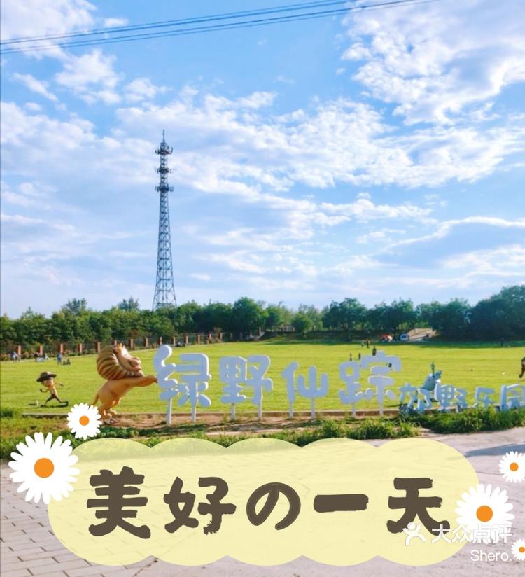 绿野仙踪林视频入口欢迎您-第2张图片