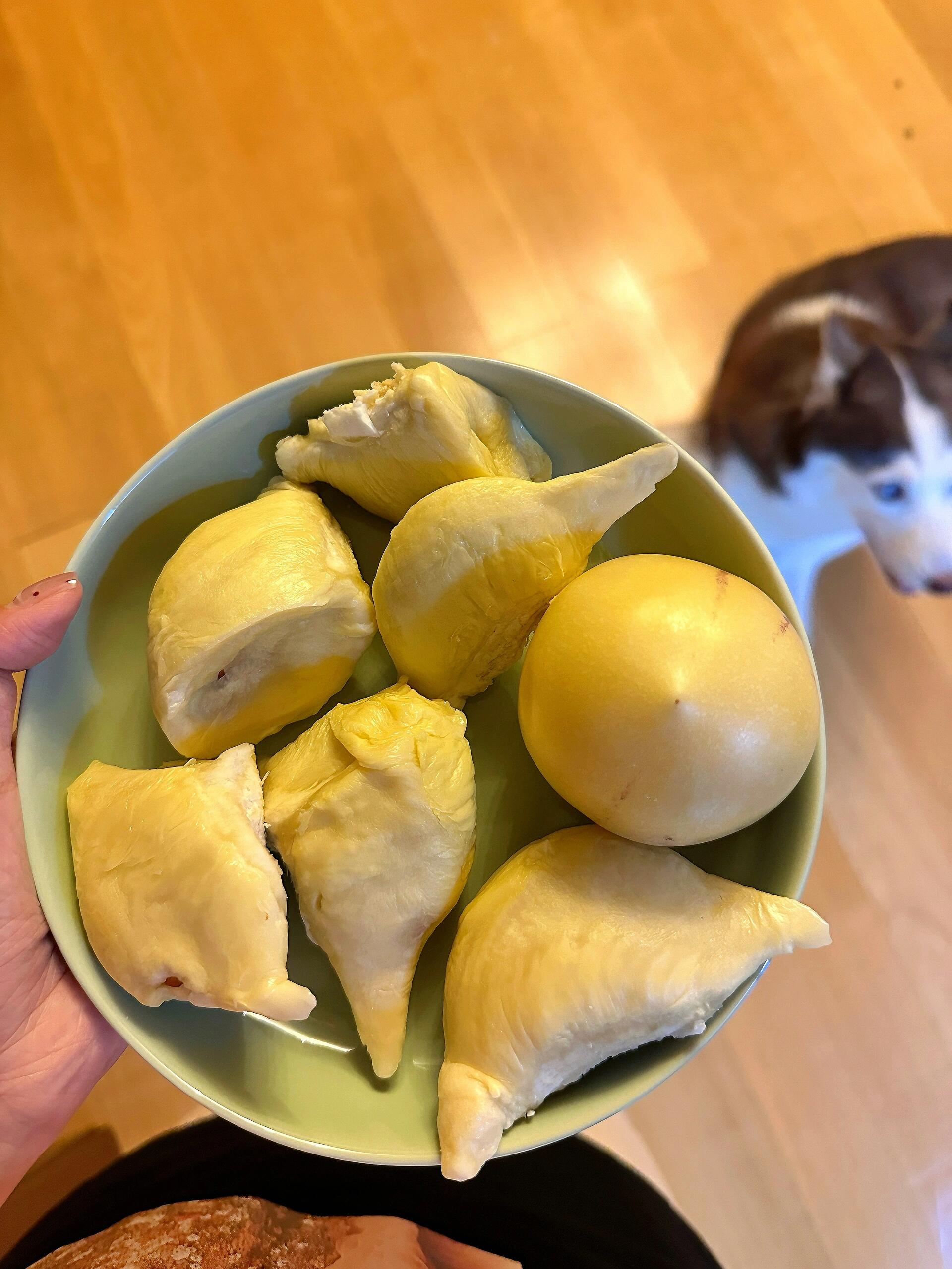 榴莲视频免费观看视频免费下载榴莲视频免费观看与免费下载指南