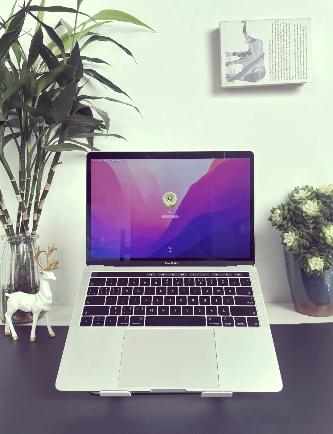 MacBook高清MacBook高清，极致体验的视觉盛宴-第2张图片