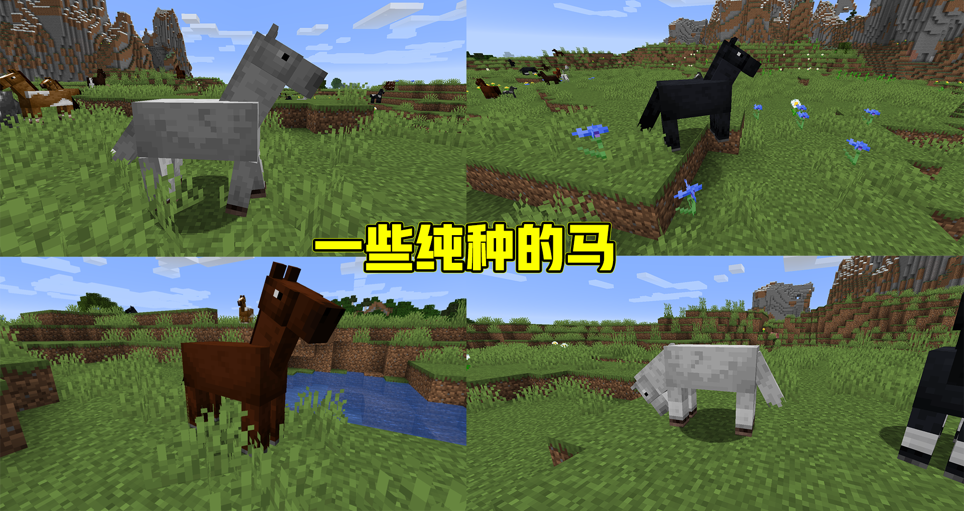 我的世界马我的世界马-第1张图片