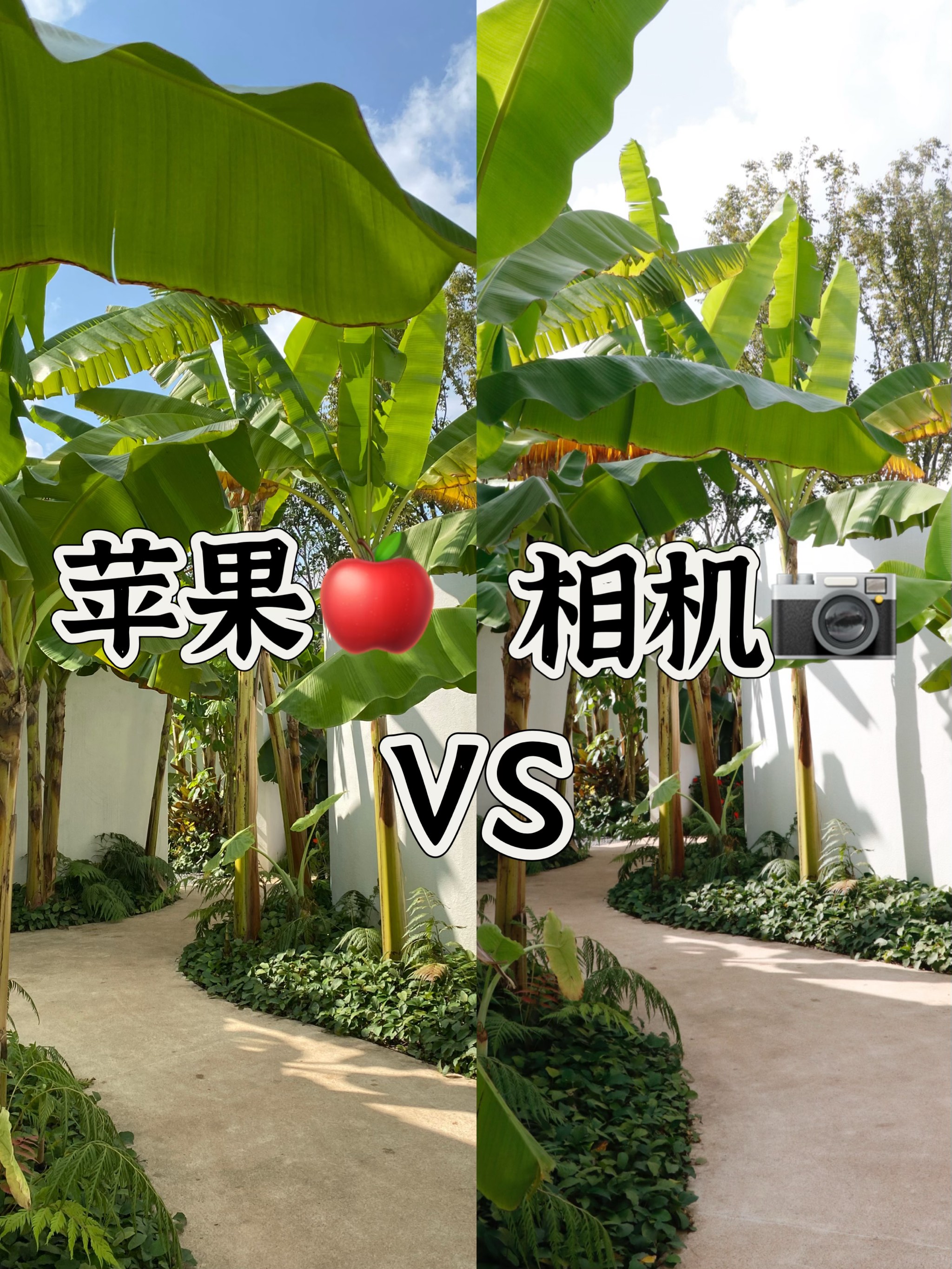 魔漫相机iphone魔漫相机iPhone，轻松捕捉生活中的美好瞬间-第2张图片