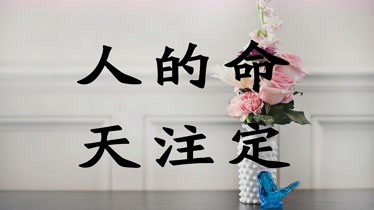 36选7福彩开奖号码36选7福利彩票开奖查询-第1张图片