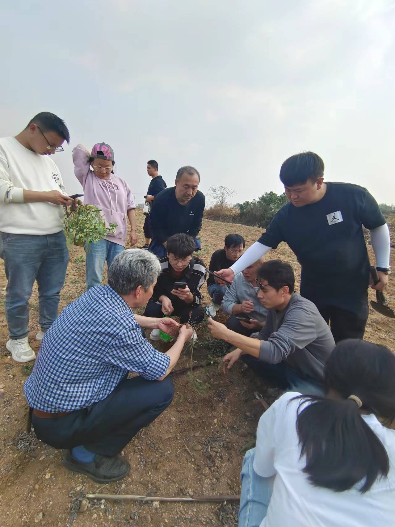 采药225采药之旅——探寻神秘225草药-第1张图片