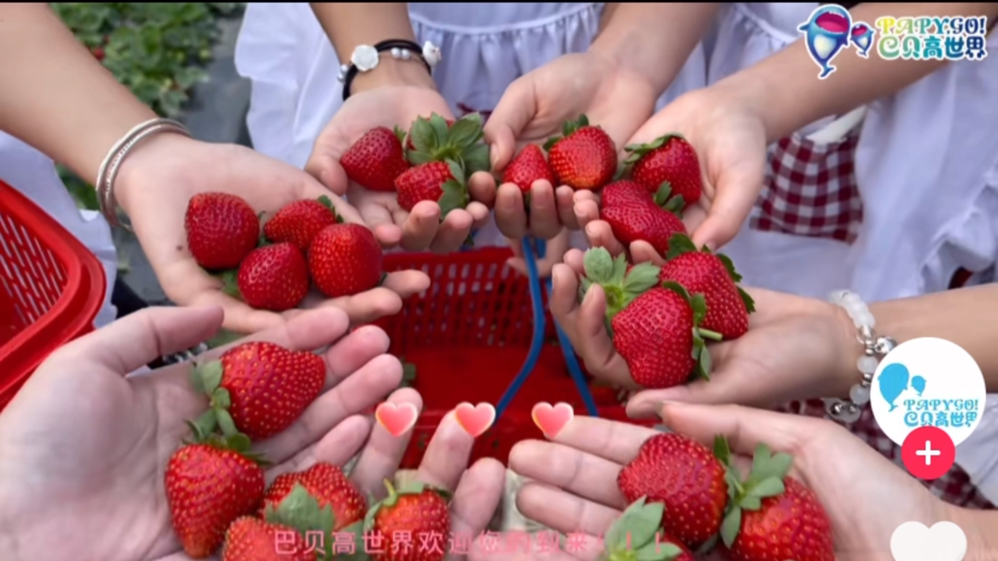 草莓视频ios装无限看ios草莓视频iOS无限看丝瓜IOS视频网站下载-第2张图片