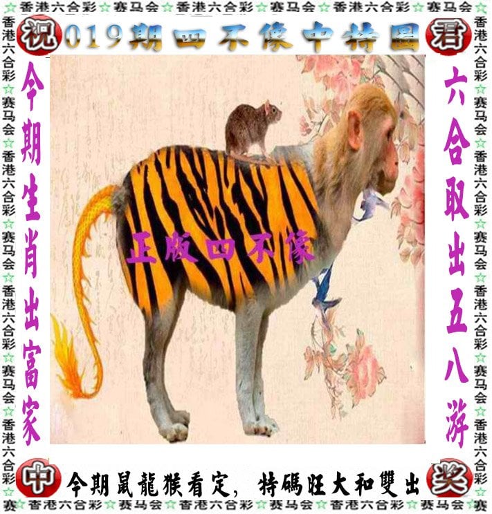 跑狗报-第2张图片
