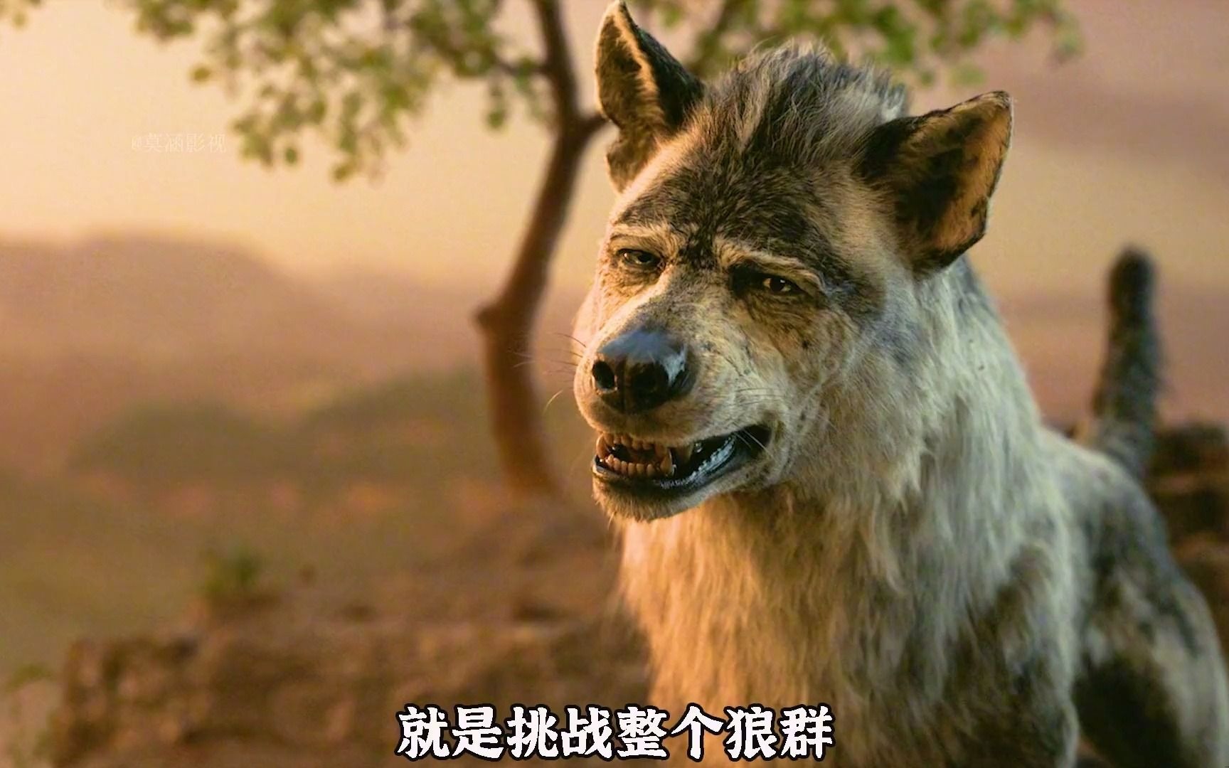 狼群影院在线观看免费版，探索电影新世界